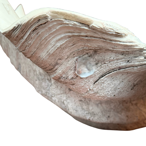 Giant Vintage Clam Shell