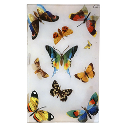 Butterflies 62