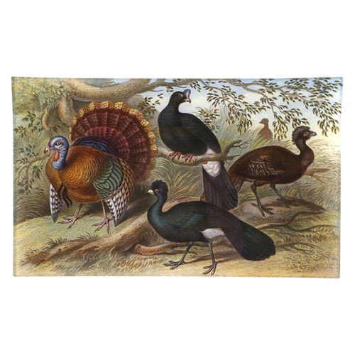 Wild Turkey & Curassows