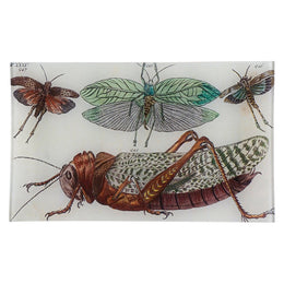 Locusts - FINAL SALE