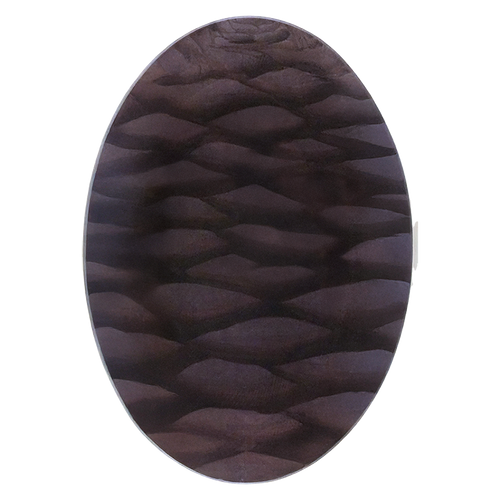 Cedrus