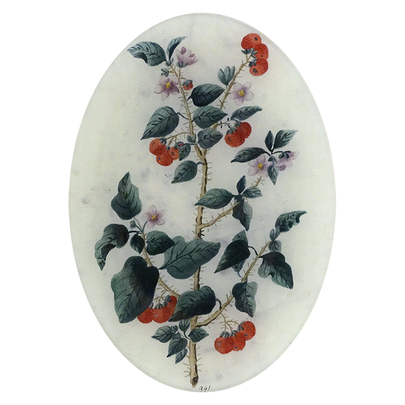 A seven inch by ten inch vertical oval glass plate featuring botanical artwork showing a flowering branch with dark green leaves, red berries, and small pale purple blossoms on an off-white background.