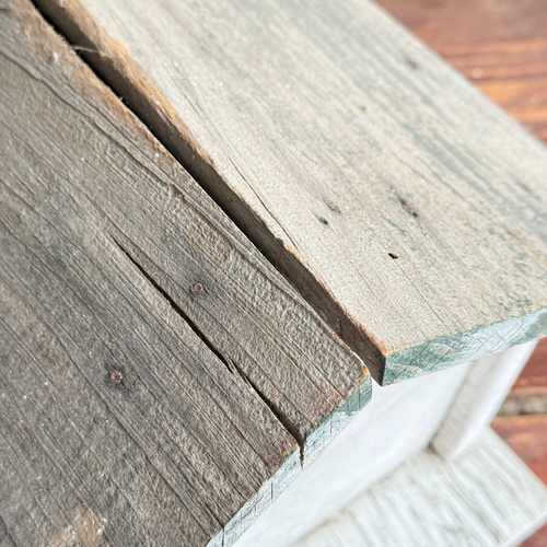 20th-century Double Tower Bird Cage