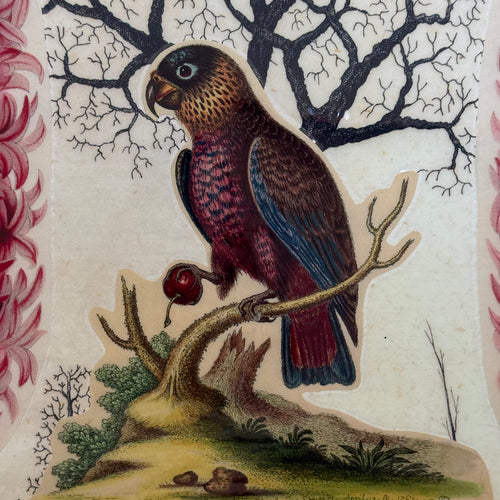 One-of-a-Kind Collaged Hyacinth and Parrot Mat (#7)