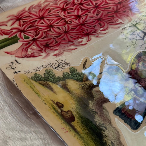 One-of-a-Kind Collaged Hyacinth and Parrot Mat (#7)