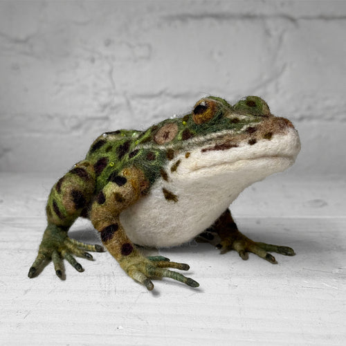 Needle Felted Frog