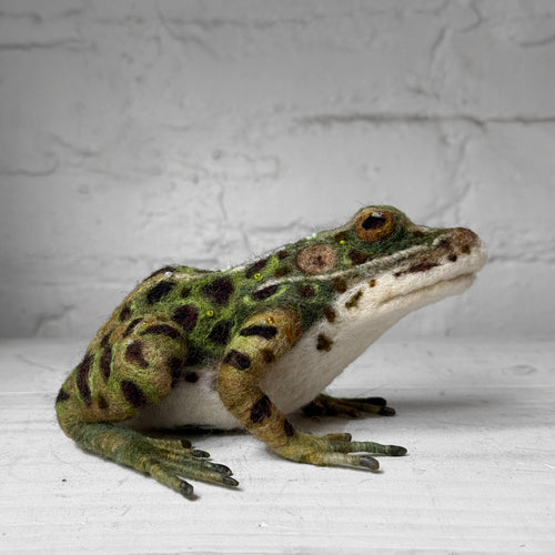 Needle Felted Frog