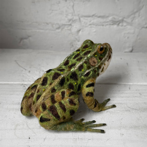Needle Felted Frog