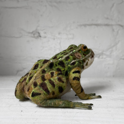 Needle Felted Frog