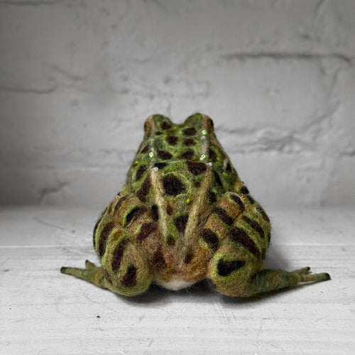 Needle Felted Frog