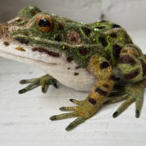 Needle Felted Frog