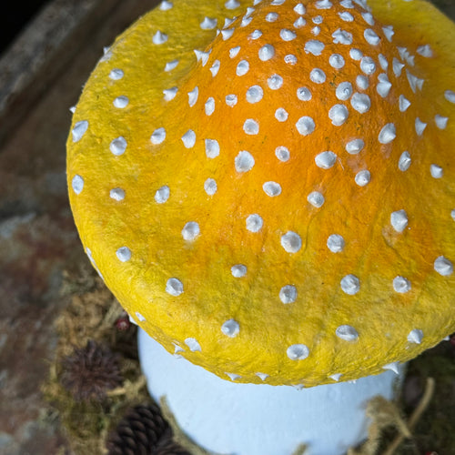 Handmade Wooden Mushroom Creation (#7) by Crystal Stone