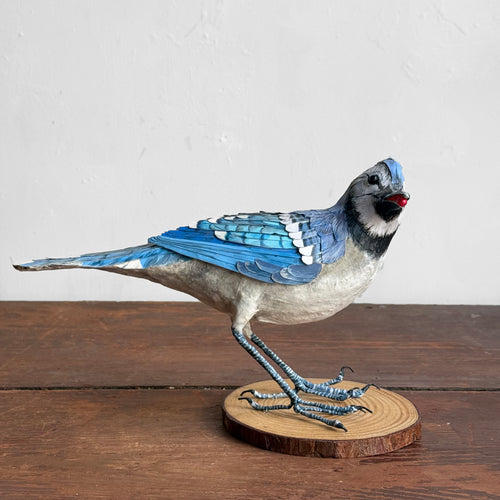 Papier-Mâché Blue Jay