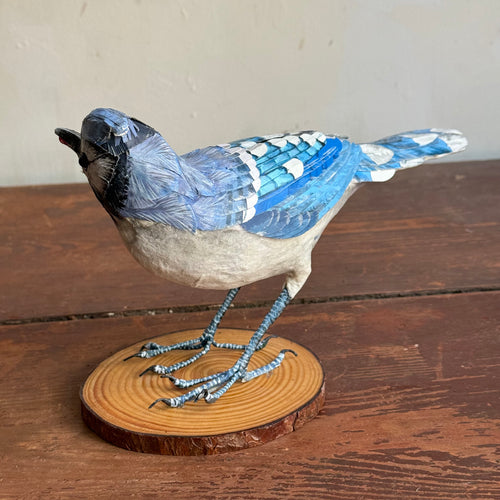 Papier-Mâché Blue Jay