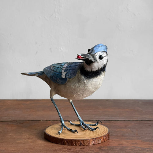 Papier-Mâché Blue Jay