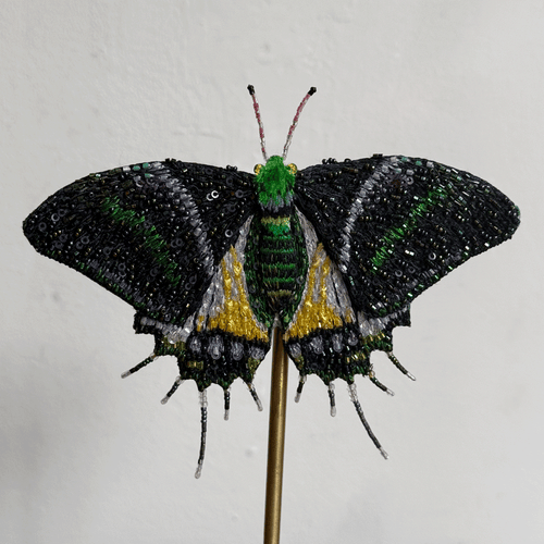 Hand-Beaded Swordtail Butterfly on Stand by Trovelore