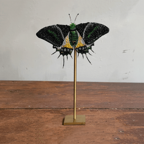 Hand-Beaded Swordtail Butterfly on Stand by Trovelore