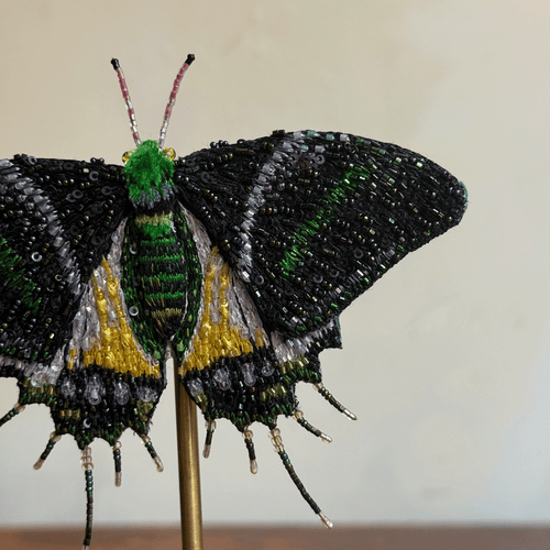 Hand-Beaded Swordtail Butterfly on Stand by Trovelore
