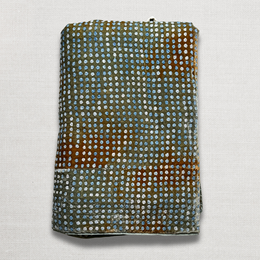 Dotty Embroidered Silk Velvet Throw in Shaded Lake