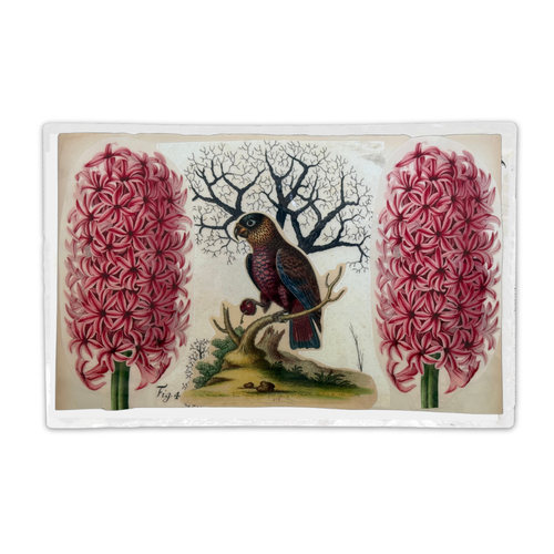 One-of-a-Kind Collaged Hyacinth and Parrot Mat (#7)