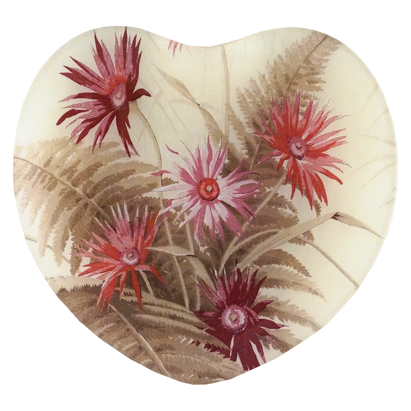 Dianthus Heart