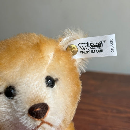 Vintage Steiff Teddy Bear Baby on Wheels 1939 Replica