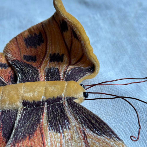 Original Silk Velvet Embroidered Butterfly in Corn Yellow