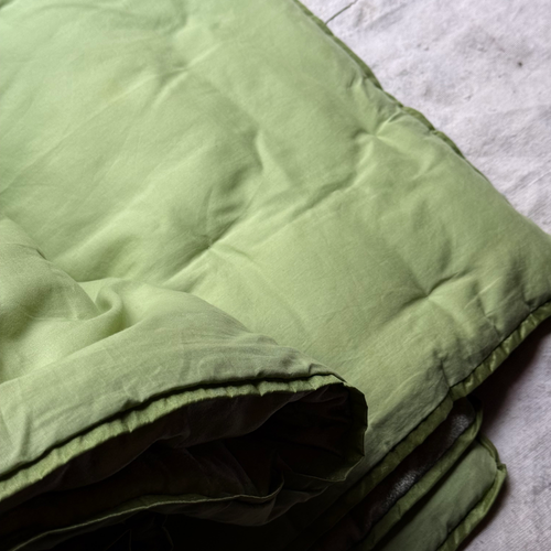 Flower Bud Embroidered Silk Velvet Throw in Apple Green