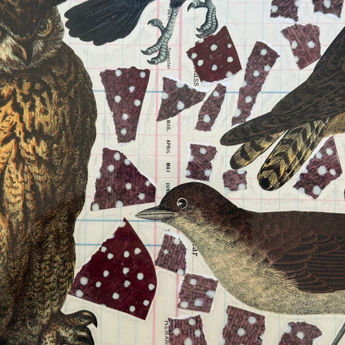 One-of-a-Kind Collaged Birds and Owls Mat (#8)