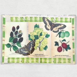 One of a Kind Collaged Fruit & Butterfly Mat (#609)