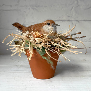 Needle Felted Carolina Wren in a Pot