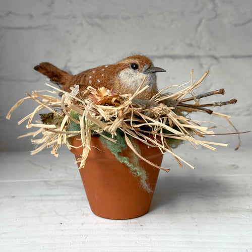 Needle Felted Carolina Wren in a Pot