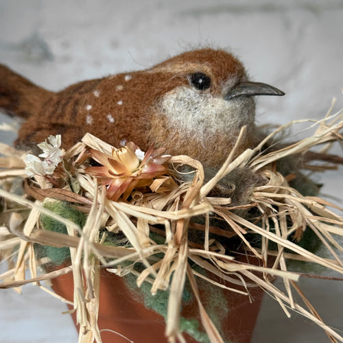 Needle Felted Carolina Wren in a Pot