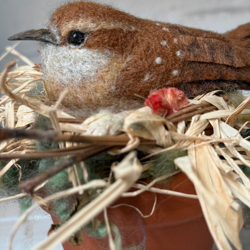 Needle Felted Carolina Wren in a Pot