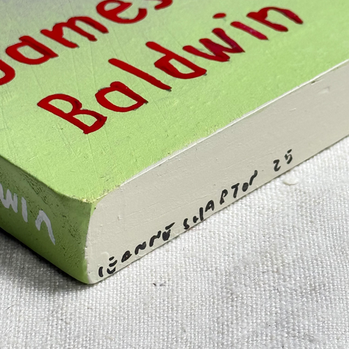 Leanne Shapton "Notes of a Native Son" Painted Wooden Book