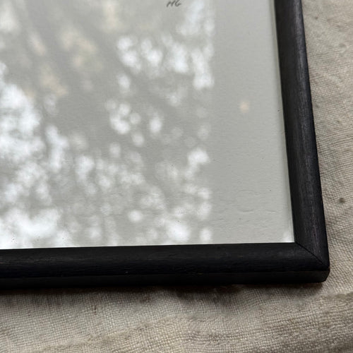 Hugo Guinness "Turtle" Linocut in a Vintage Frame
