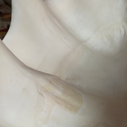 Giant Vintage Clam Shell