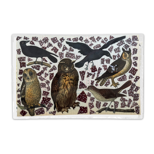 One-of-a-Kind Collaged Birds and Owls Mat (#8)