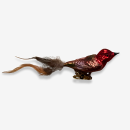 Natural Feather Tailed Clip-on Bird Ornament