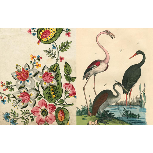 9781648294167_in08_500x.png?v= 9781648294167_in08_500x.png?v=