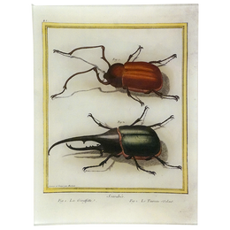 Red & Green Scarabs