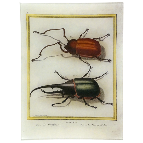 Red & Green Scarabs