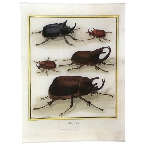 Scarabs