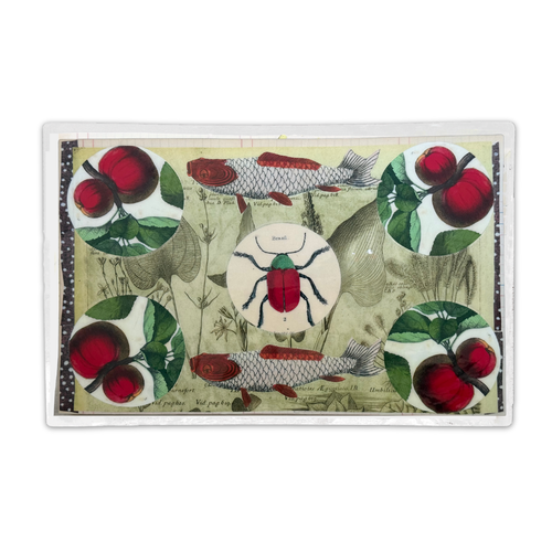 One-of-a-Kind Collaged Fish & Fruit Mat (#9)