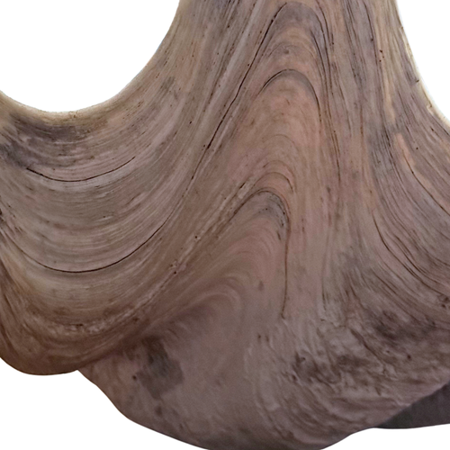 Giant Vintage Clam Shell