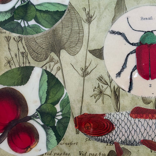 One-of-a-Kind Collaged Fish & Fruit Mat (#9)