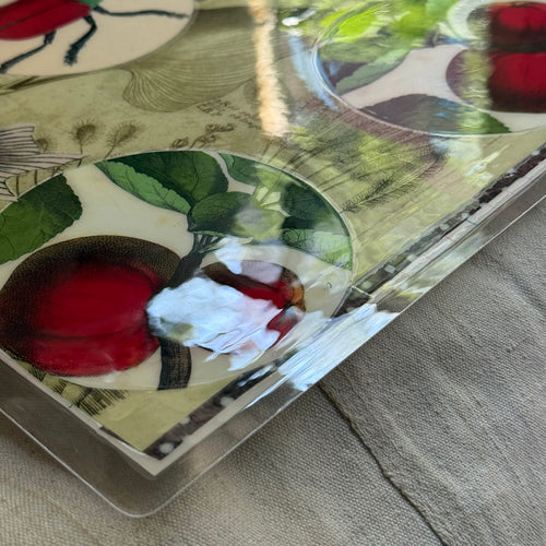 One-of-a-Kind Collaged Fish & Fruit Mat (#9)