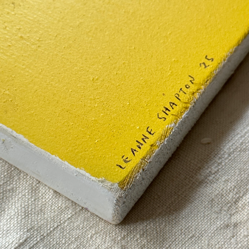 Leanne Shapton "The Trial" Painted Wooden Book