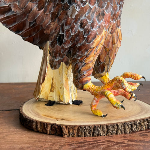 Papier-Mâché Bald Eagle