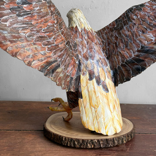 Papier-Mâché Bald Eagle